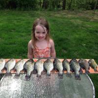 Carly H.'s haul! She's a Crappie Master