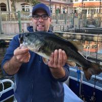 Nice Largemouth