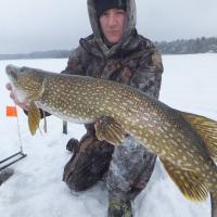 Big Pike