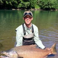 70 lb King Salmon