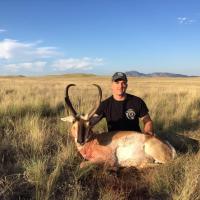 Pronghorn