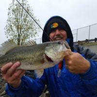 Bass at Almaden Lake