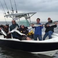 Bass Pro Team Fishing Bluefish