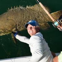 'Goliath' Grouper