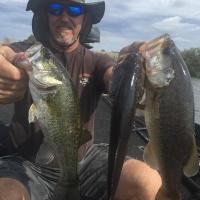 Good Bass Catch on the Delta