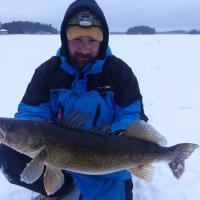 Big CPR'd Walleye