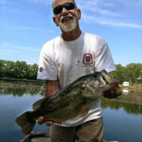 Dave's Nice Bass