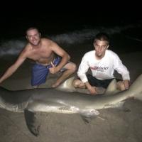 Shark Fishing on Fort Lauderdale Beach