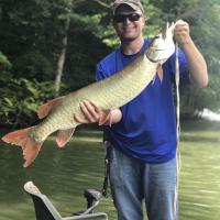 South Holston Muskie