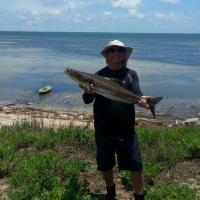 Fishing Cobia