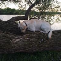 Wishin' He was Fishin'