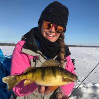 Nice Otter Tail County Perch