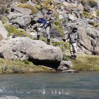 Double-digit rainbow trout