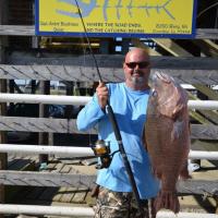 Record Gray Snapper