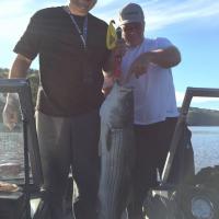 Big Striper
