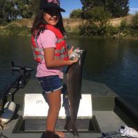 feather river salmon