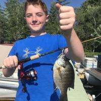 Bluegills From The Dock