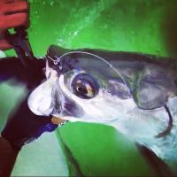 Removing the hook