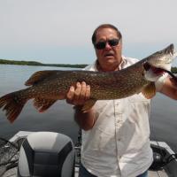 10 lb 34 inch Pike