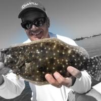 flattie flounder