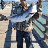 Fishing for big fish