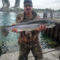 Under the Bridge Trout