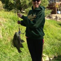 Blue Gill Fishing