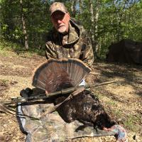 Double Bearded Turkey