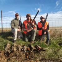 Pheasant Hunt