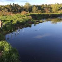 Fly Fishing Salisbury NB