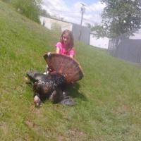 First turkey 22lbs