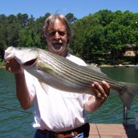 Nice Striper Bass