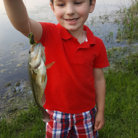 Small Bass for a small Dan Jr