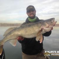 Giant Colorado Walleye