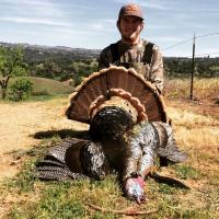 Turkey Season - Jake