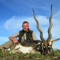 Blackbuck Antilope