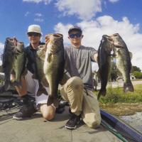 Six Serious Bass