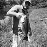 Really Nice Bass