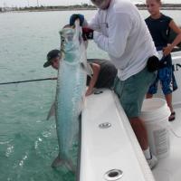 Nice Catch