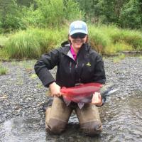 Nice Sockeye Salmon