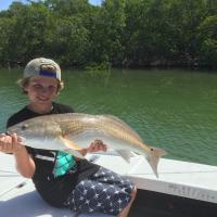 Redfish in Florida - Nice catch!