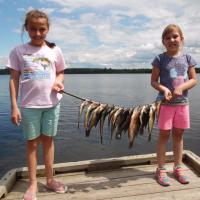 String of 13 Crappie