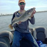 Fall Walleye