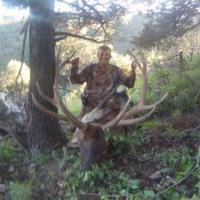 elkhunter1 on you own