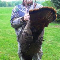 24-pound Tom