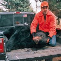 Pennsylvania Black Bear