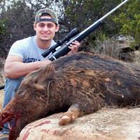 Stalked Boar