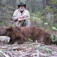 Bear Hunt 2011