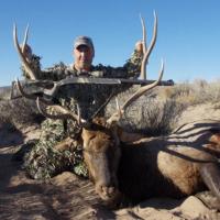 New Mexico Elk Hunt