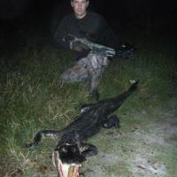 Gator Hunt